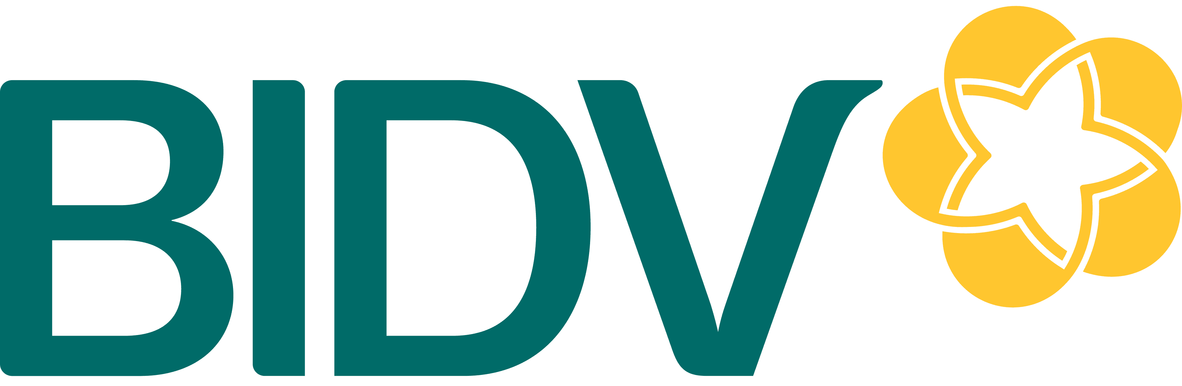 BIDV Team
