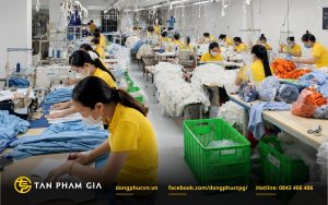 Năng lực sản xuất đồng phục ngành giáo dục của Tân Phạm Gia
