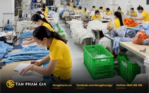 Bắt đầu tiến trình sản xuất số lượng lớn