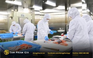 Đồng phục bảo hộ nẹp giấu cúc cho khu vực sơ chế thô