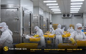 Đồng phục nhân viên kho lạnh, kho đông lạnh