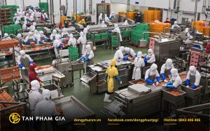 Yêu cầu đối với đồng phục công nhân nhà máy chế biến thực phẩm