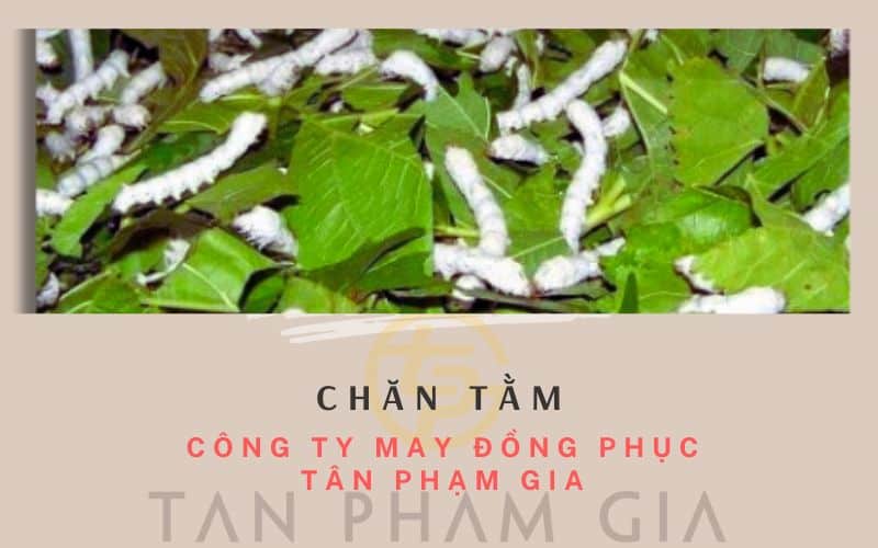 Chăn Tằm