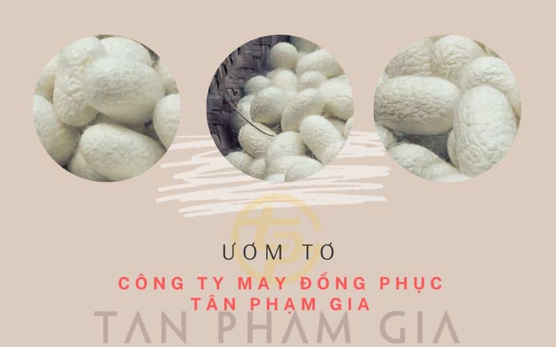 Chăn Tằm