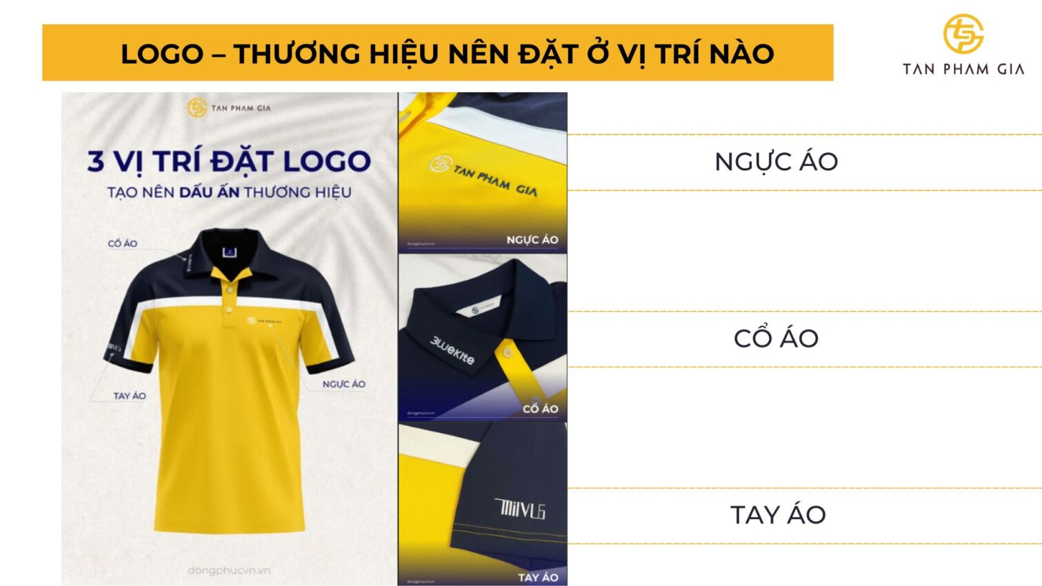 Logo – thương hiệu nên đặt ở vị trí nào