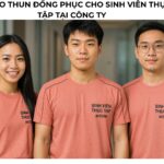 cho tôi hình ảnh sinh viên thực tập tại công ty, người châu á, mặc áo sơ mi, quần tay mẫu áo thun đồng phục cho Sinh viên thực tập tại công ty