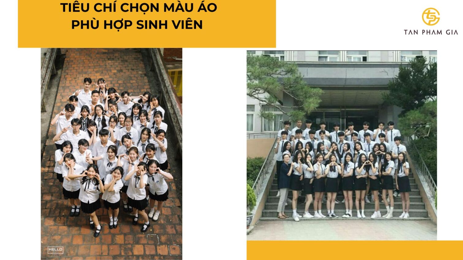 Áo thun cho sự kiện sinh viên