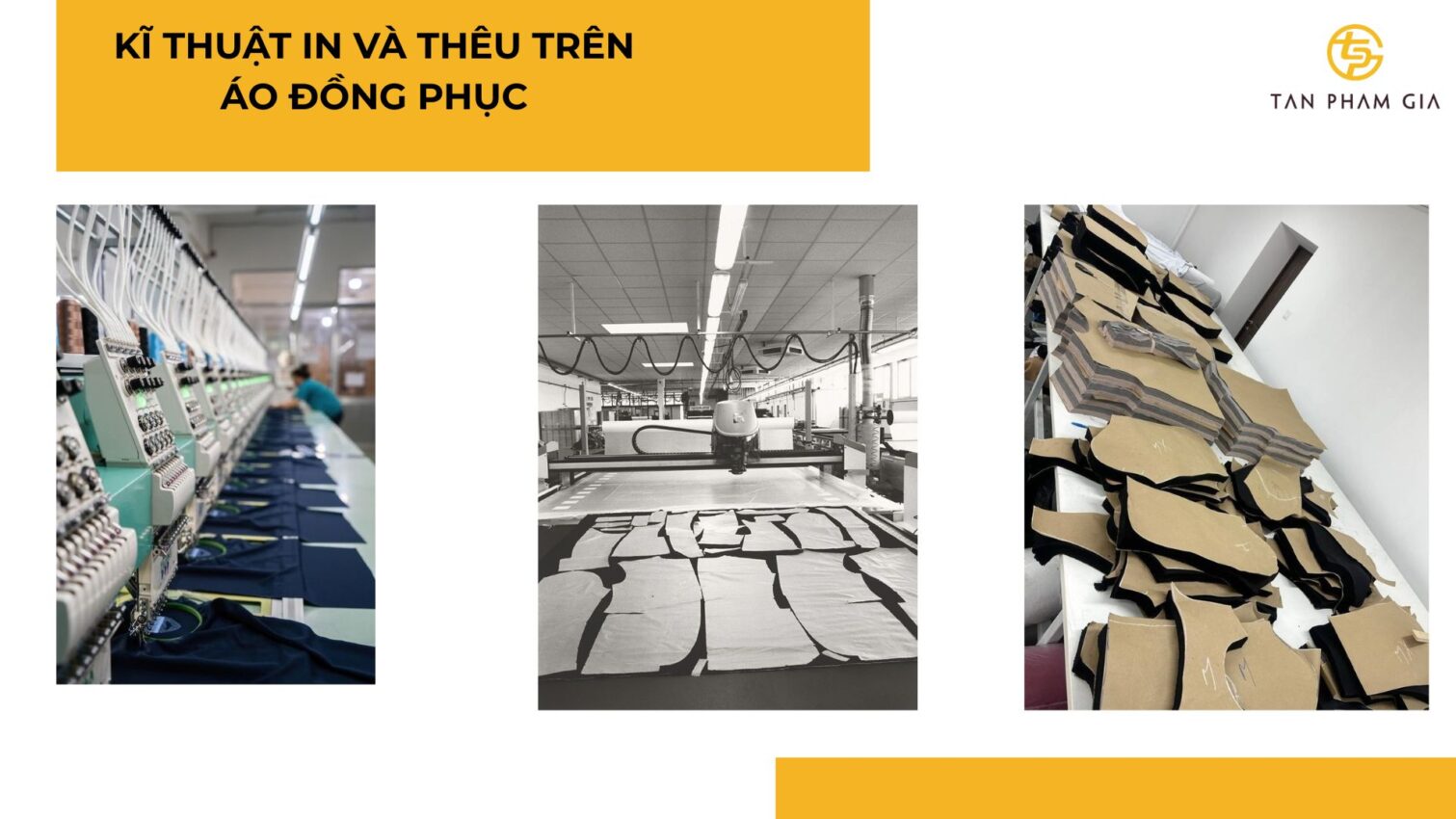 Áo thun đồng phục giáo viên