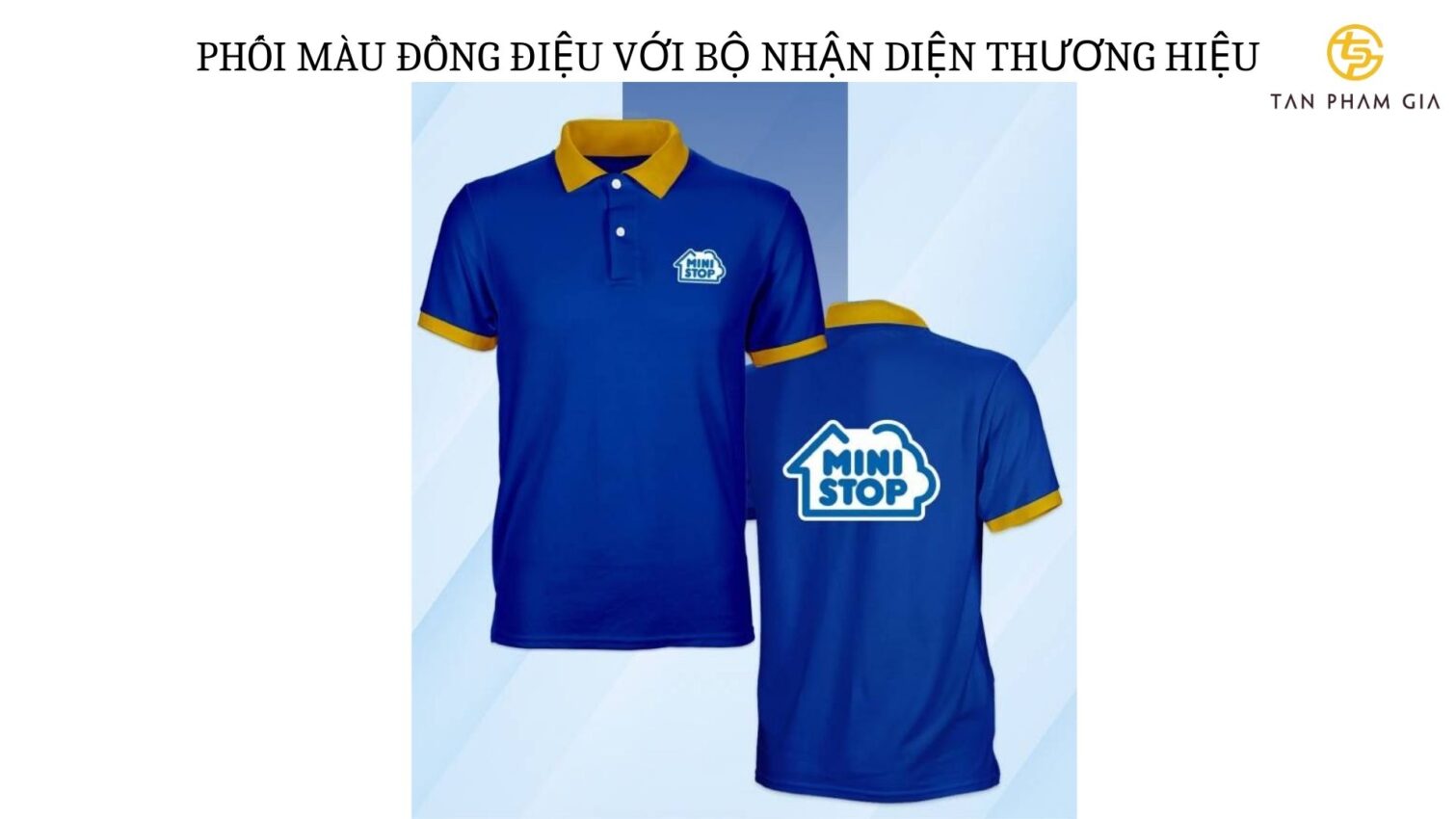 Mẫu áo thun đồng phục phối màu trẻ trung