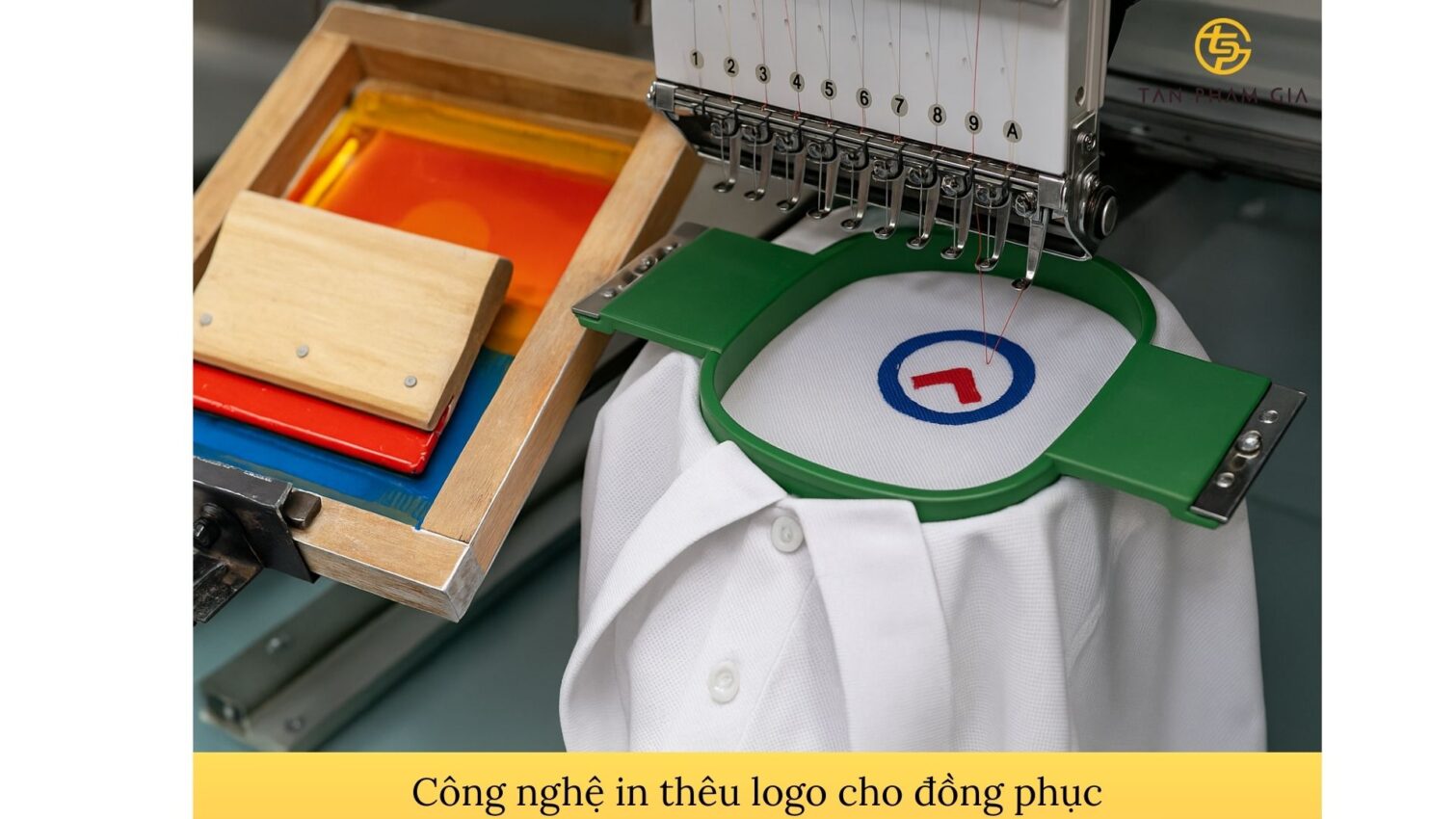 Áo thun đồng phục combo cao cấp