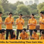Mẫu Áo Teambuilding Theo Gam Màu