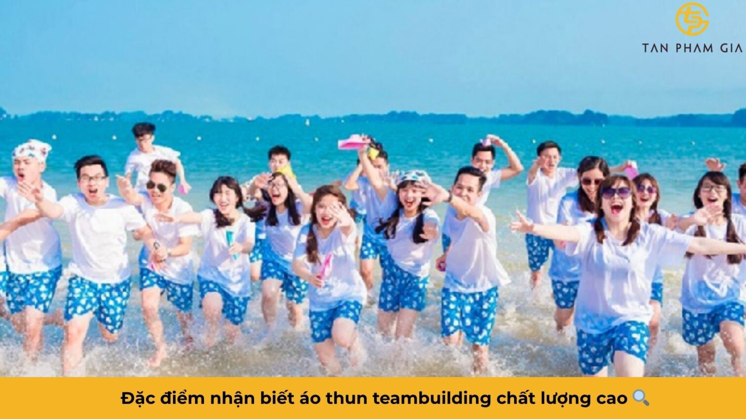 Áo Thun Teambuilding Chất Lượng Cao