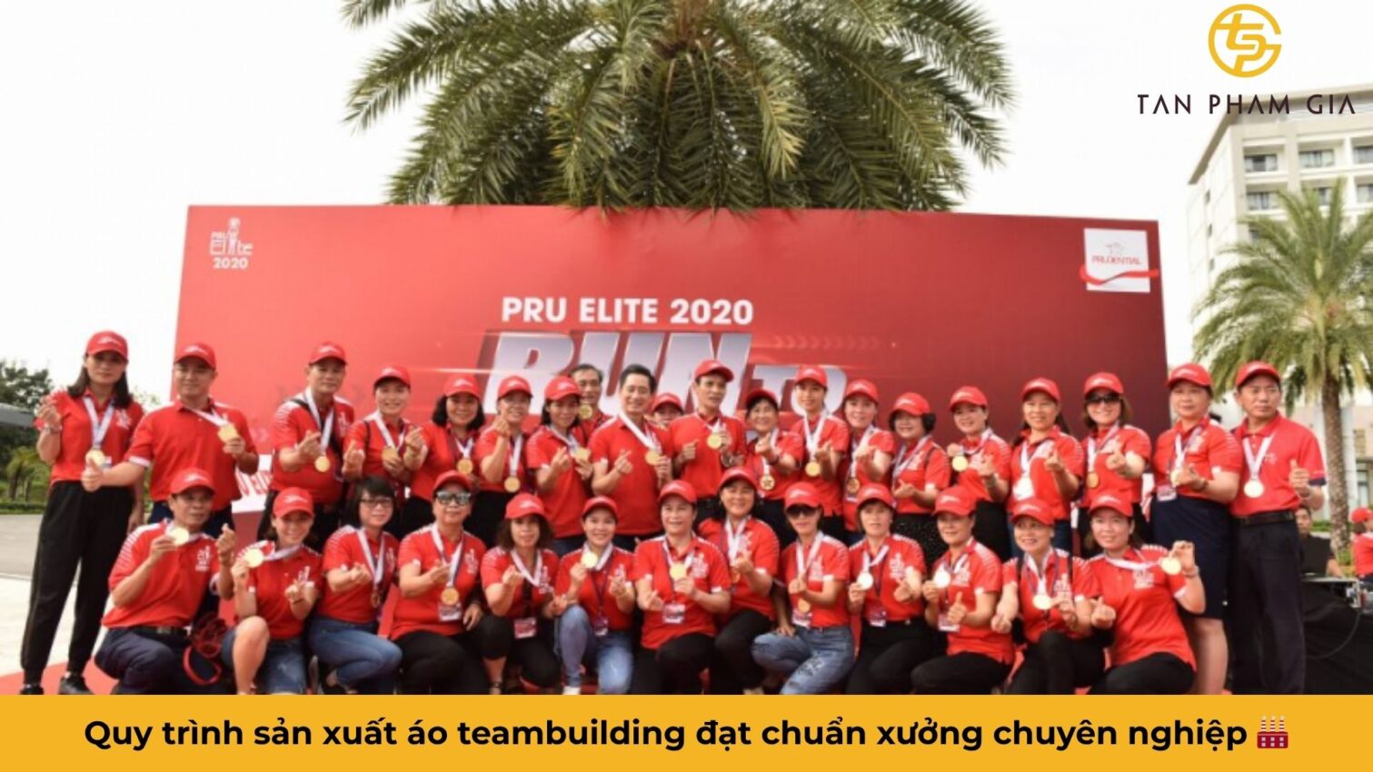 Áo Thun Teambuilding Chất Lượng Cao