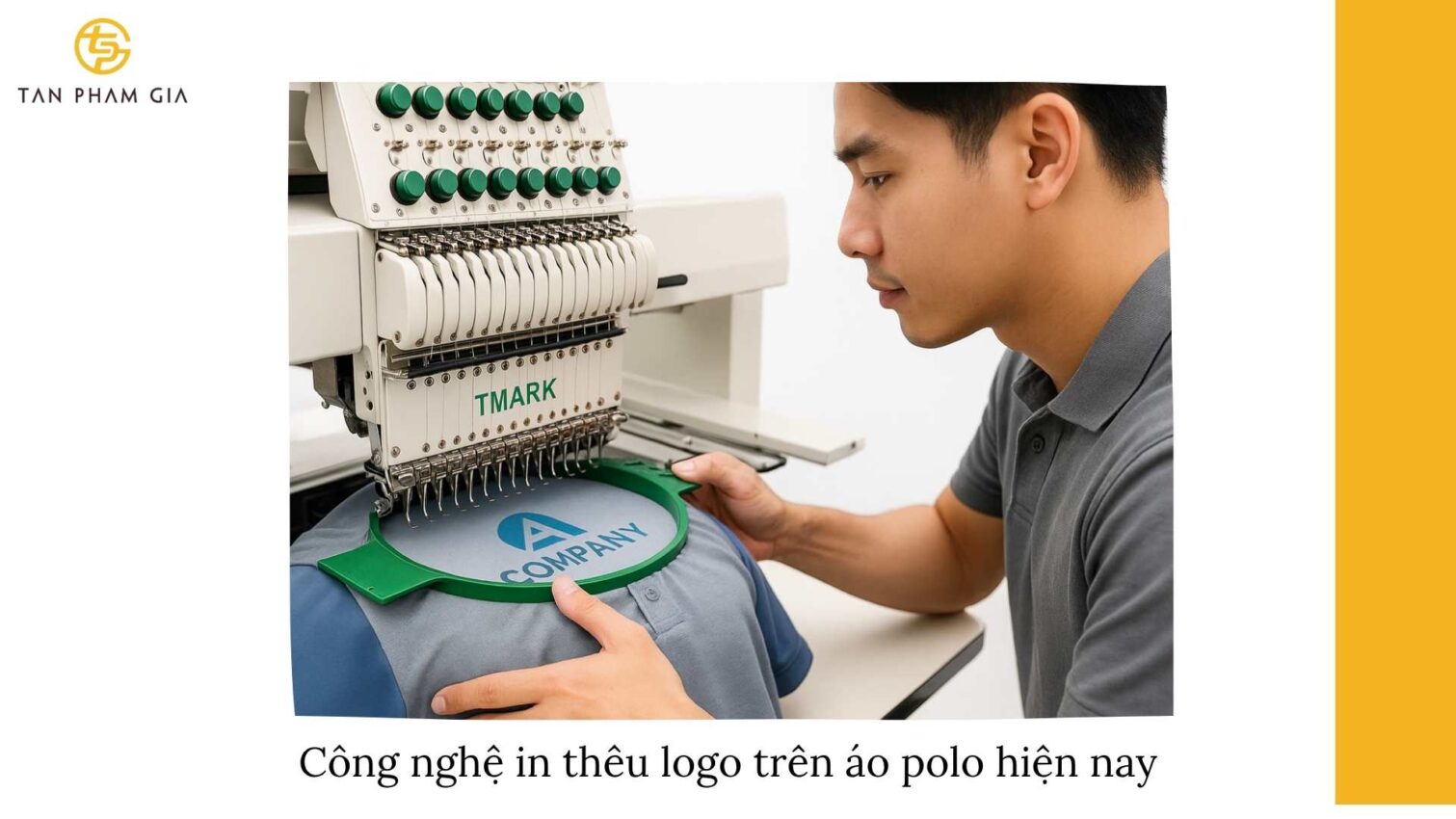 Mẫu Áo Polo Teambuilding Thiết Kế Riêng