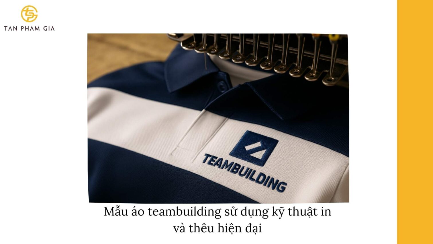 Mẫu Áo Teambuilding Thiết Kế Độc Đáo