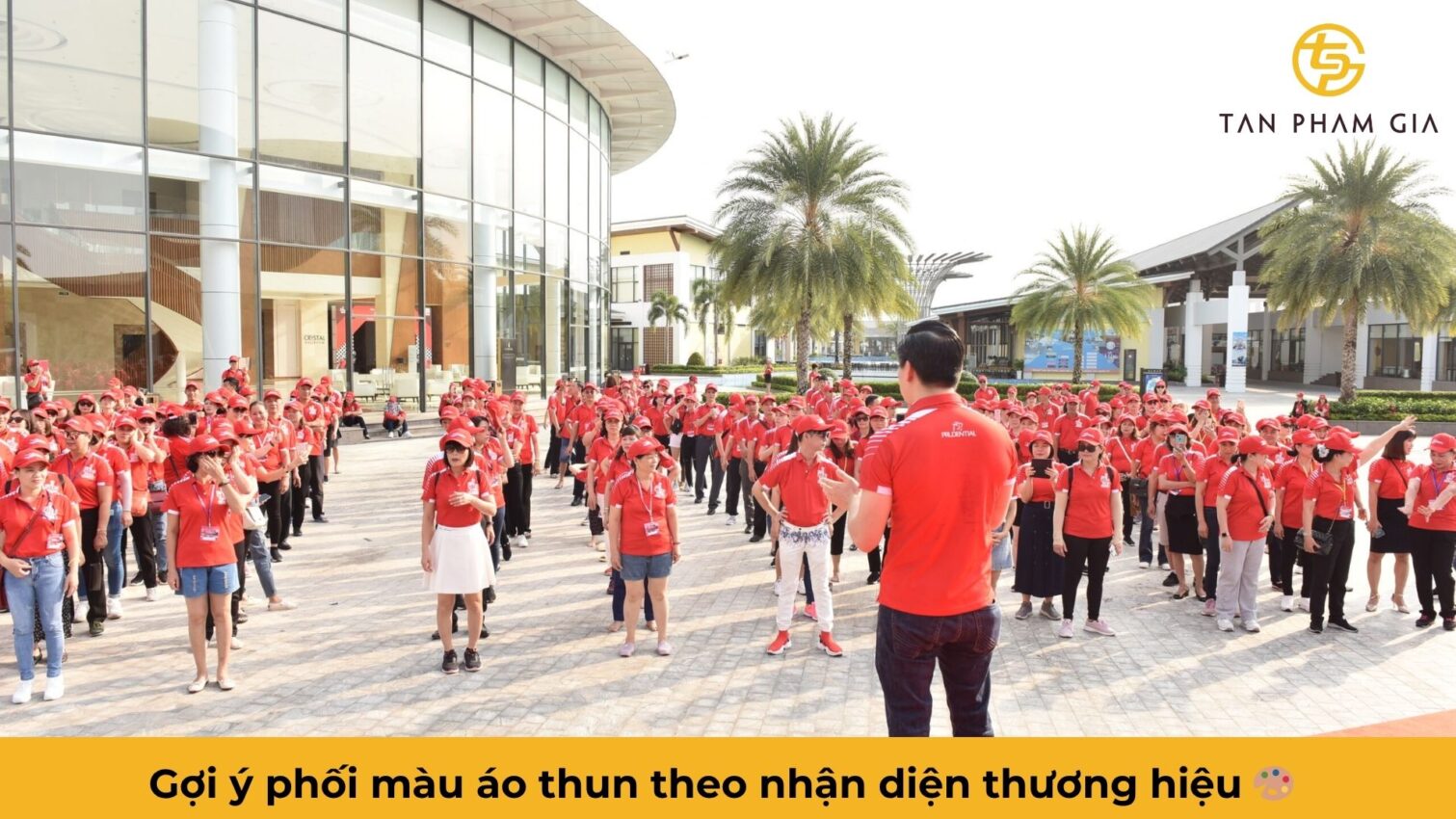 Đặt Áo Thun Teambuilding Công Ty