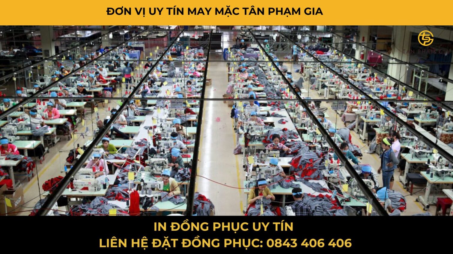 Mẫu Áo Thun Teambuilding Sáng Màu