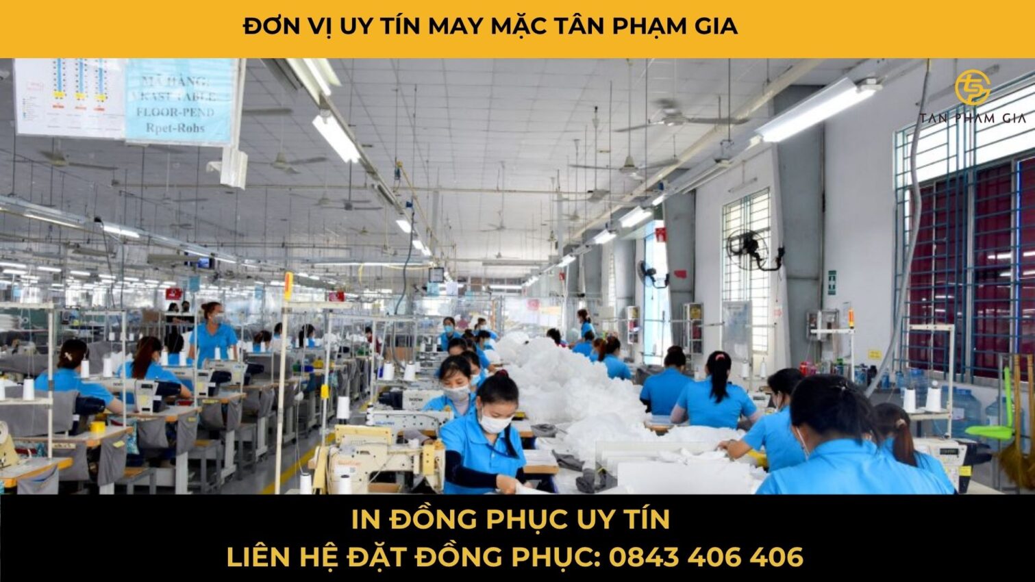 Mẫu Áo Polo Teambuilding Trẻ Trung