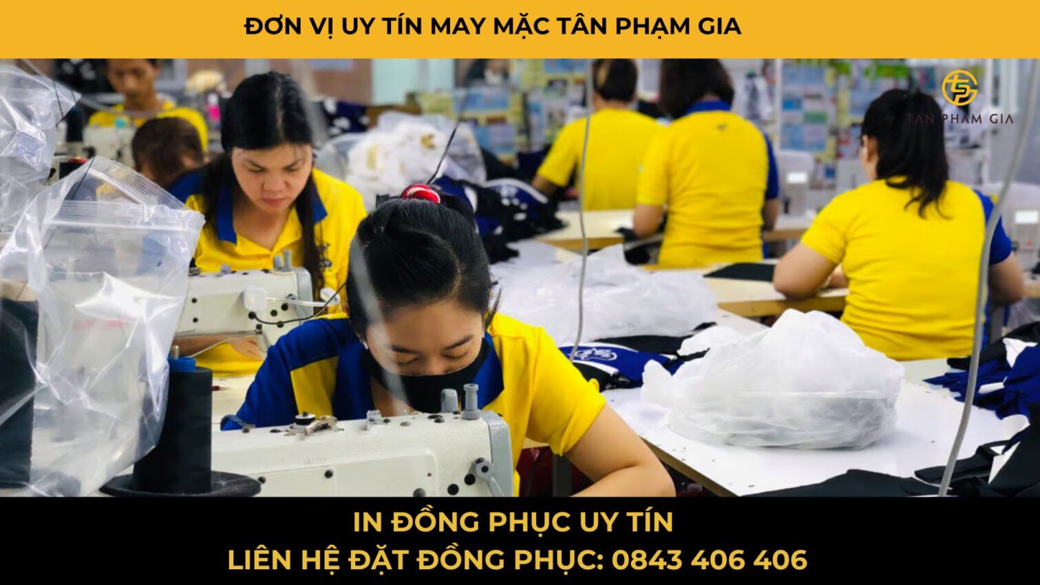 Mẫu Áo Polo Teambuilding Công Ty