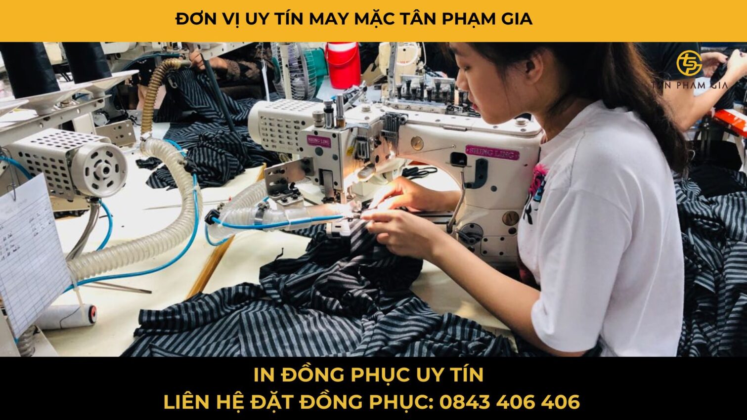 Mẫu Áo Polo Teambuilding Giá Rẻ