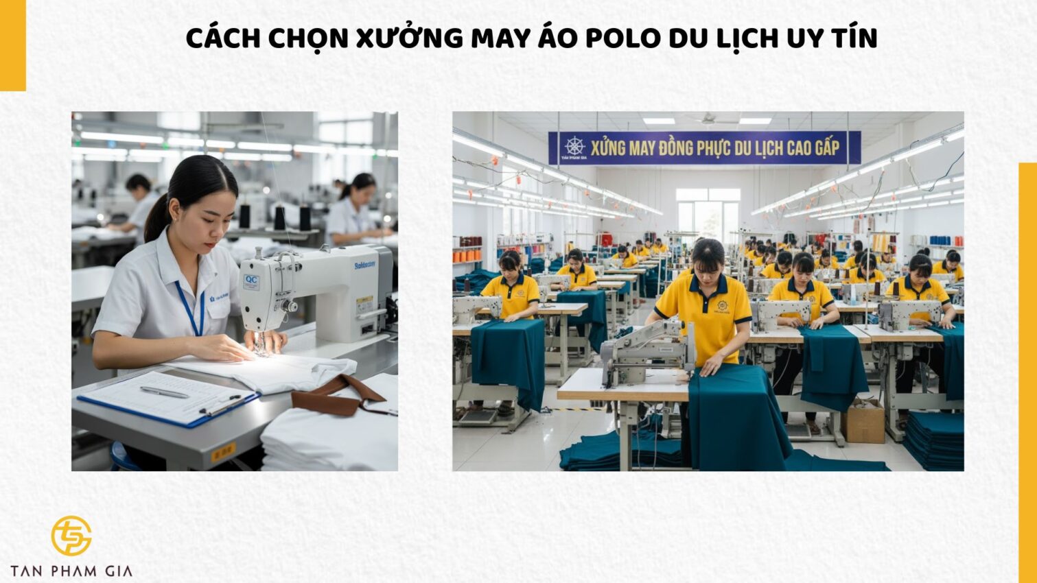 Áo Polo Du Lịch Sang Trọng