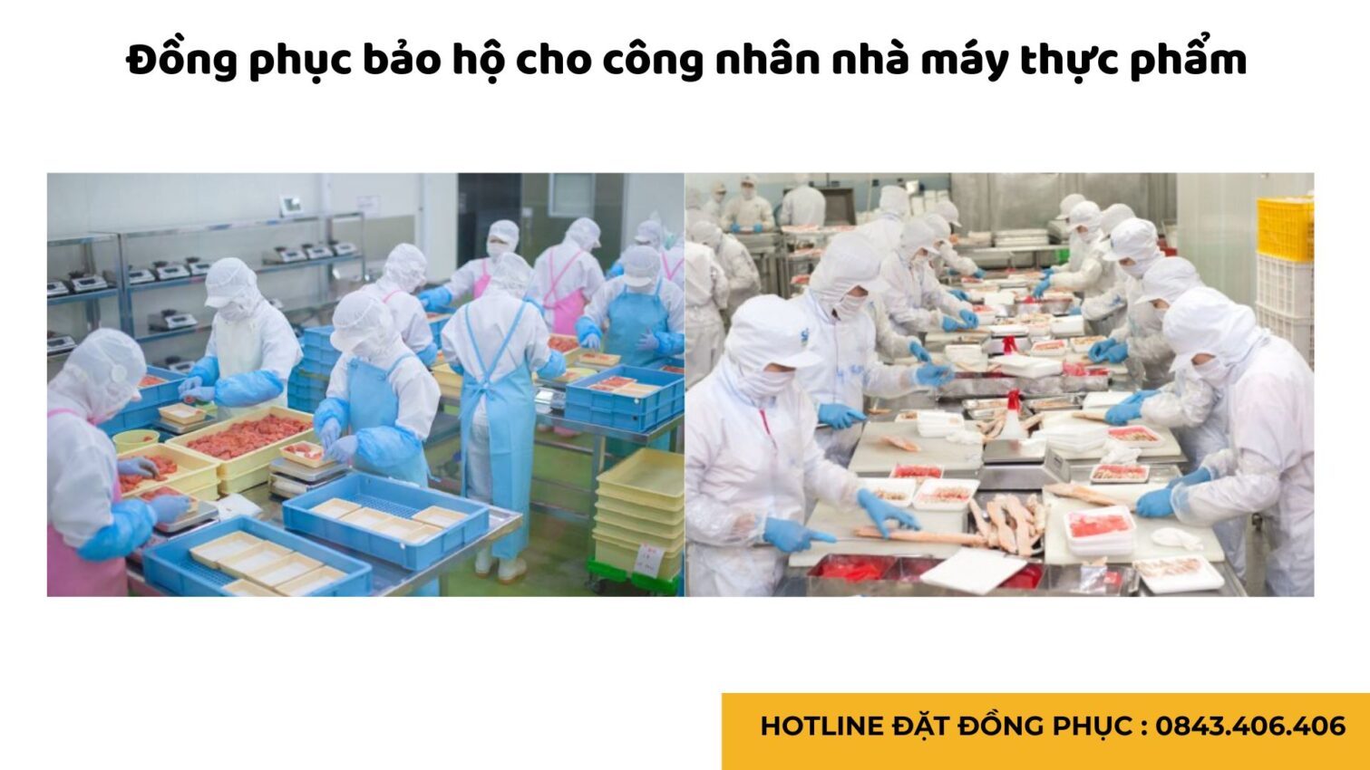 Đồng phục bảo hộ lao động cho công nhân chế biến thực phẩm