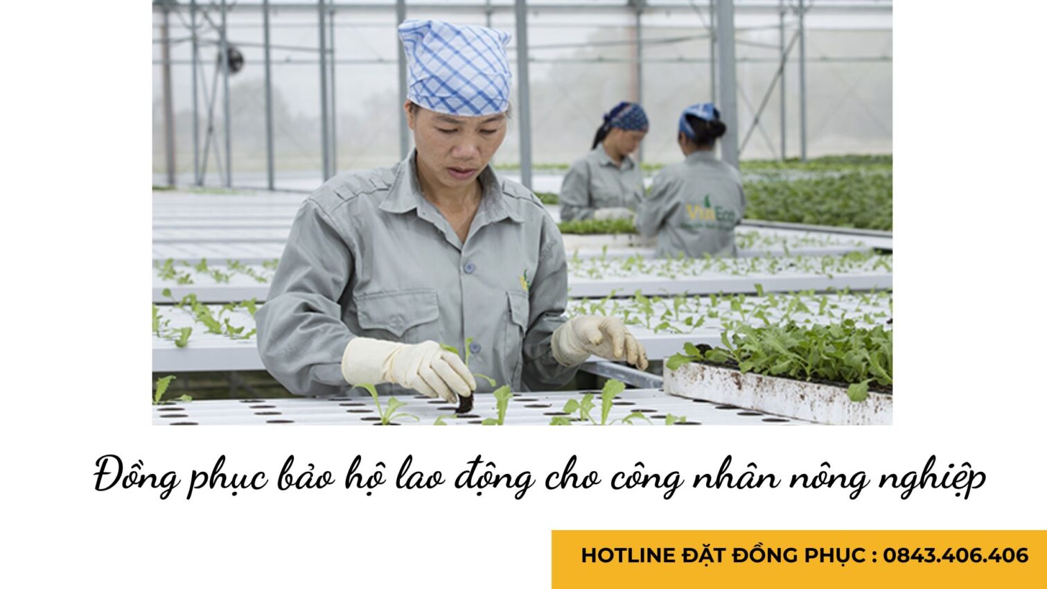 Đồng phục bảo hộ lao động cho công nhân nông nghiệp