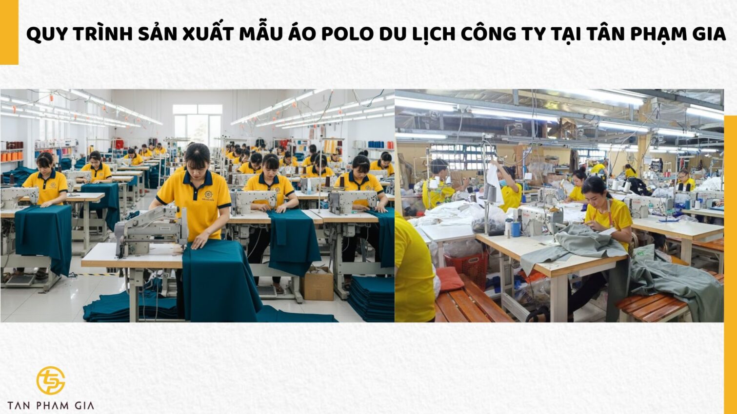 Mẫu Áo Polo Du Lịch Công Ty