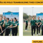 Mẫu Áo Polo Teambuilding Theo Concept