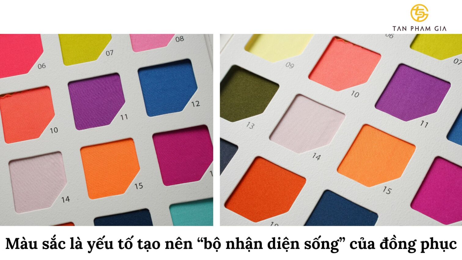 Công ty may có xuất hóa đơn VAT