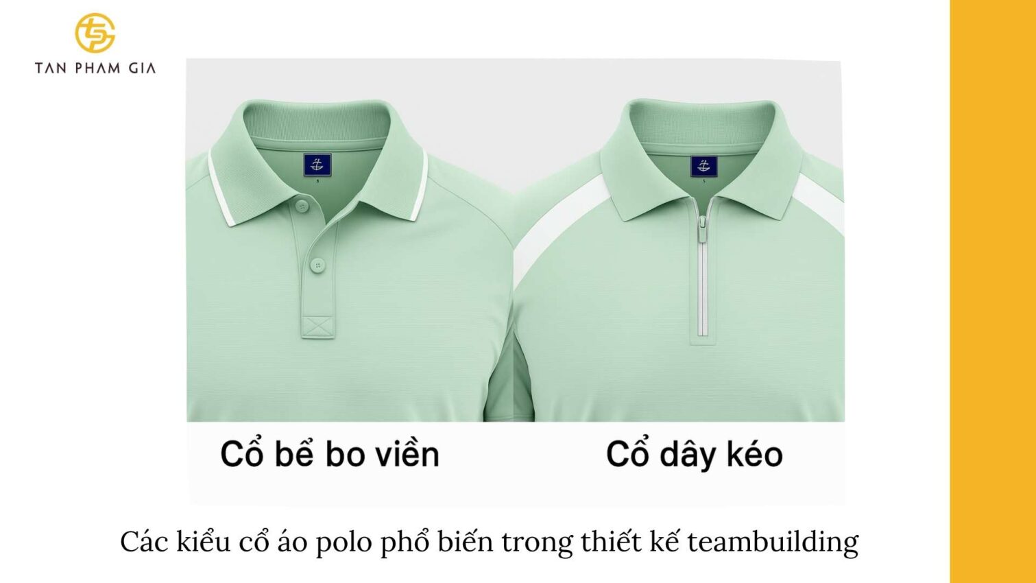 Mẫu Áo Polo Teambuilding Chuyên Nghiệp