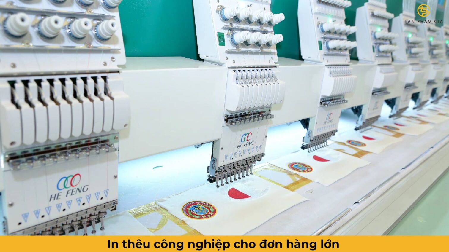 Công Ty May Gia Công Cho Tập Đoàn