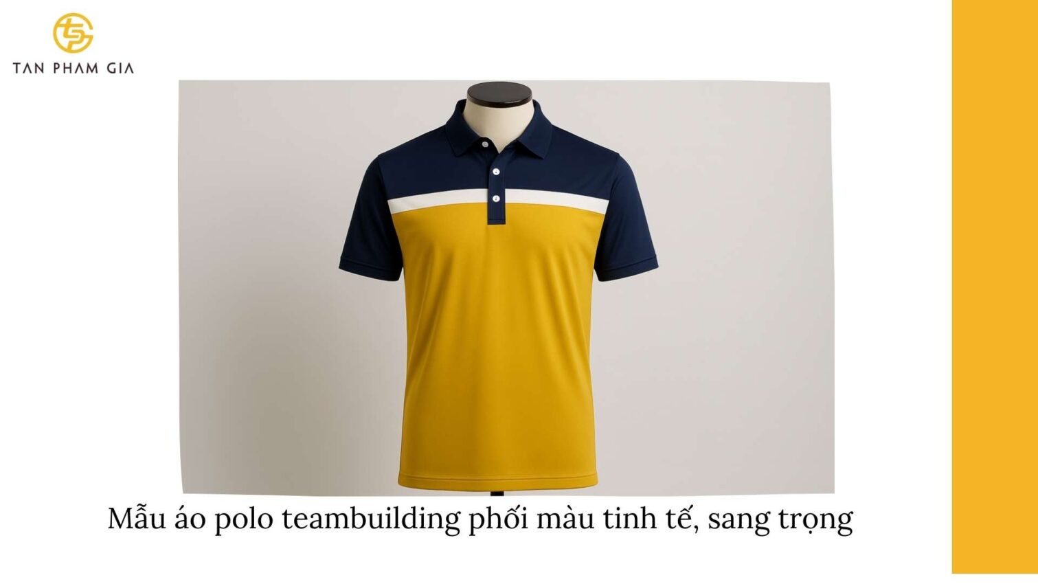 Mẫu Áo Polo Teambuilding Chuyên Nghiệp