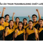 Mẫu Áo Thun Teambuilding Chất Lượng Mẫu Áo Thun Teambuilding Chất Lượng