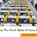 Đồng Phục Doanh Nghiệp Số Lượng Lớn Đồng Phục Doanh Nghiệp Số Lượng Lớn