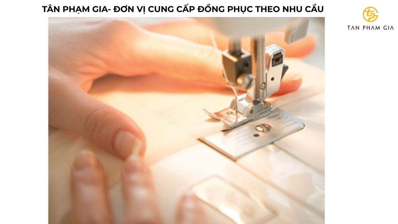 Mẫu Áo Du Lịch Cho Công Ty Trẻ