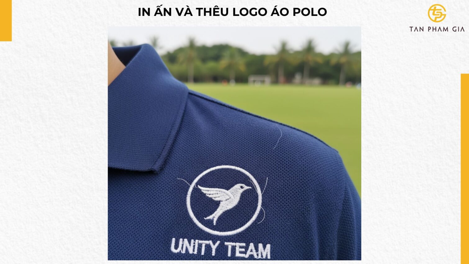 Đặt May Áo Polo Teambuilding Theo Yêu Cầu