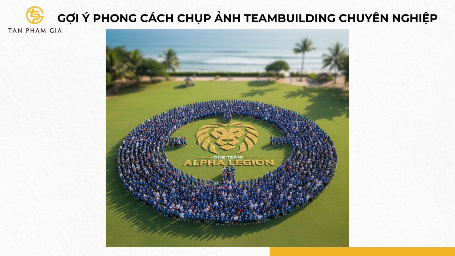 Áo Thun Teambuilding Công Ty Lớn