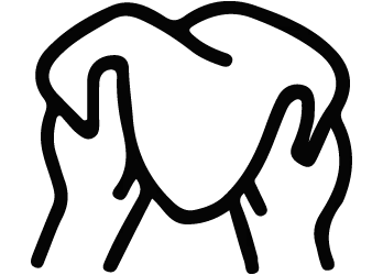 Kiểm tra nguyên liệu